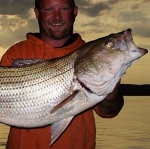 striper